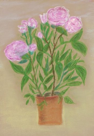Pastel 4.jpg
